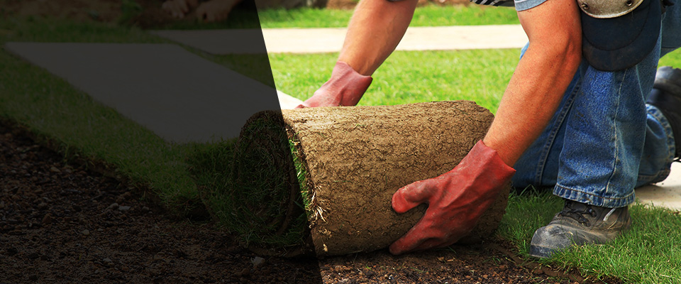 Oswego Landscapers